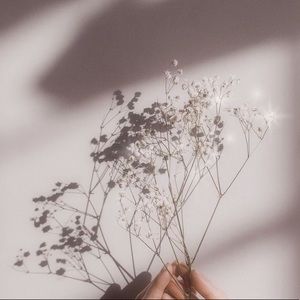 Meet your Posher, Rylie